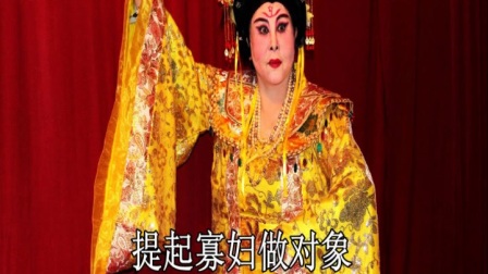 吕剧《花好月圆选段》花好月圆再成双带字幕