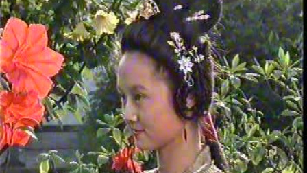 黄梅戏电视剧《花田错》上集