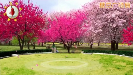 桃花谣《糖豆》字幕版