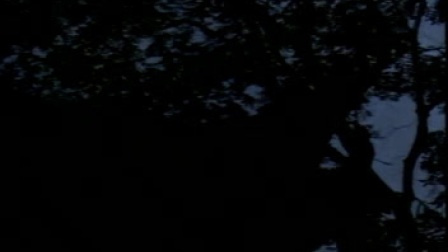 越剧电视剧《梁山伯与祝英台》P7