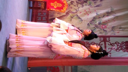 潮剧在乡村精彩演出高清
