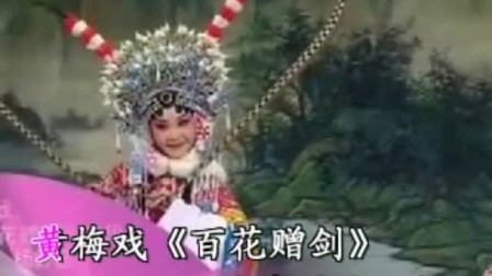 黄梅戏《百花赠剑》花园独叹