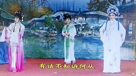 越剧《血手印》《花园会》柴建苗 华爱芳