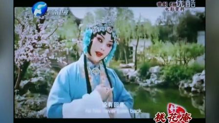 豫剧电影版《九尽春回杏花开》全段