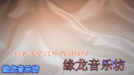 豫剧伴奏《我爱我孙》选段 刘老汉望门外雨