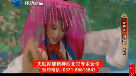 黄梅戏《游春》选段
