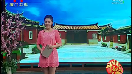 《龙凤环》8 标清