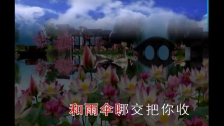 2黄梅戏小辞店《热泪滚滚》带字幕
