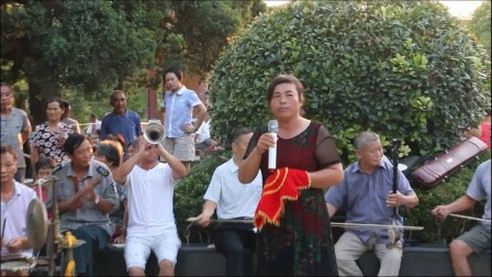 太和公园豫剧选段演唱会 袁国华剧团