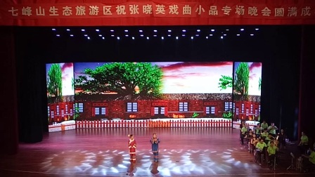 张晓英小品晚会《斗嘴》