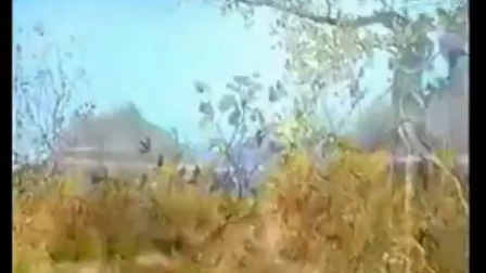 秦腔全本《王宝钏》杨凤兰（秦腔正宗敏派继承