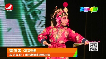 2017中国戏曲文化周全球京剧票友大赛选手