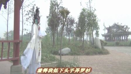 京剧《望江亭》只说是选段