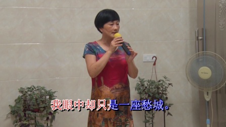 越剧《红楼梦》选段 黛玉葬花