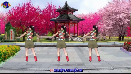 卢清秀广场舞《需要你陪》 杨丽萍 《柏家坪