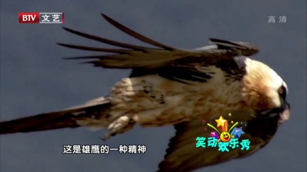 笑动欢乐秀(3) 170830
