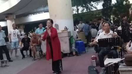 豫剧《挑花庵》选段郑州戏迷协会大石桥分会