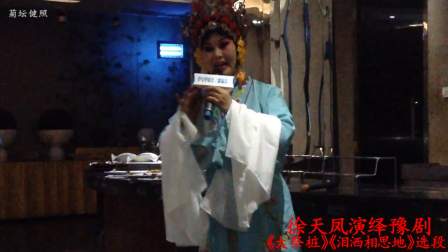徐天凤演绎豫剧《大祭桩》《泪洒相思地》选段