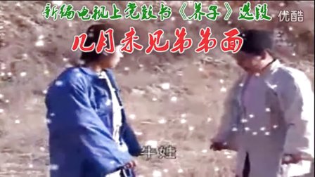 上党鼓书《养子》几月未见弟弟面下载