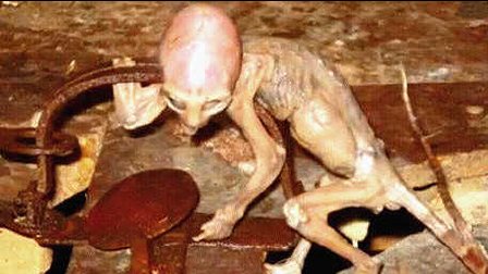 神秘古诗隐藏外星生物记录