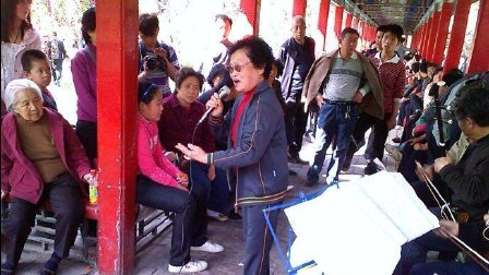 蒲剧《彩楼记》丁桂兰 伴才郎会诗文心情愉