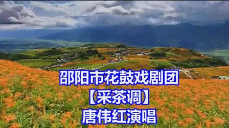 邵阳花鼓戏《采茶调》字幕版下载