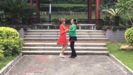 经典中老年16步交谊广场舞蹈 双人舞对跳健