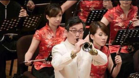 唢呐演奏《百鸟朝凤》真不愧是大师