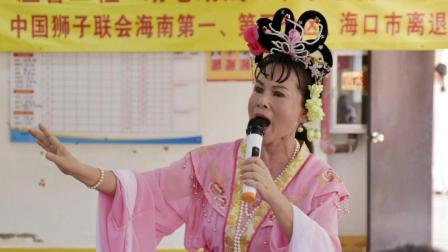 琼剧唱段《游子何故不还乡》