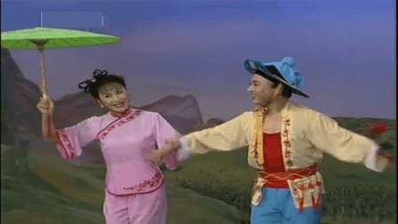 柳琴戏《走娘家》选段 山东省柳琴剧团 王晓