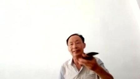 豫中大鼓《王祥卧冰(下)》