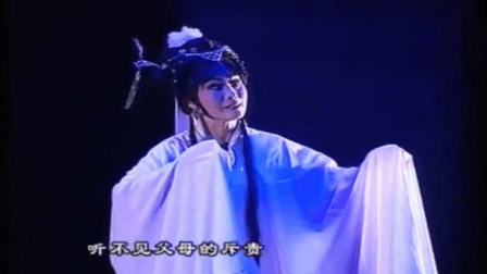 新编柳琴戏《梁山伯与祝英台》， 化蝶永伴!