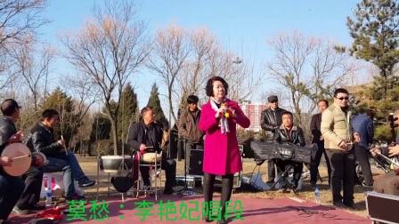 花脸阿阳莫愁唱上党落子《一进宮》高清