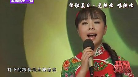 陕北民歌《翻身道情》陕北金凤凰王二妮演唱