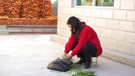 上党鼓书《抢婆婆》标清