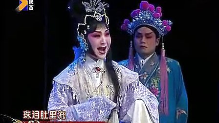 秦腔《狸猫换太子》全本 标清下载
