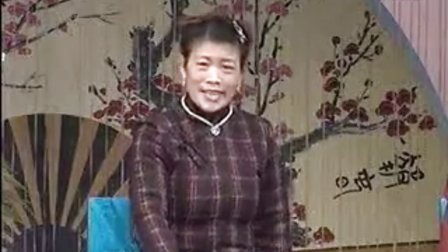 扬琴戏大鼓书《海瑞征南》1