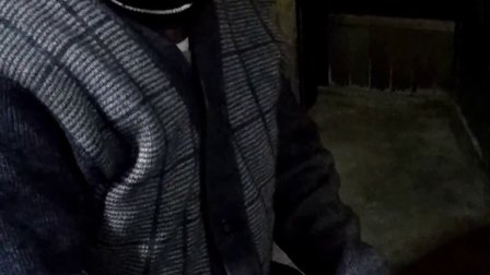 山东柳子戏郑庄演出