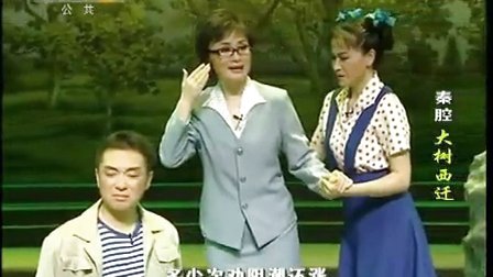 秦腔全本《大树西迁》李梅标清下载