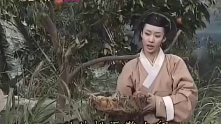 楊麗花歌仔戲《君臣情深》攀摘不盡野果樹下载