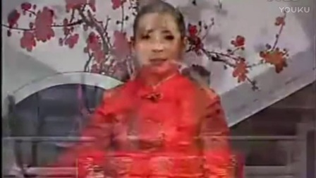 河南坠子《刘云打母》全集 胡中花