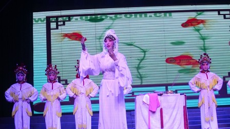 2017缙云好溪婺剧戏迷演出 新虹霓关