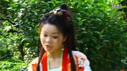 芗剧陆萍坊歌仔戏《萍影侠风》第3集 标清