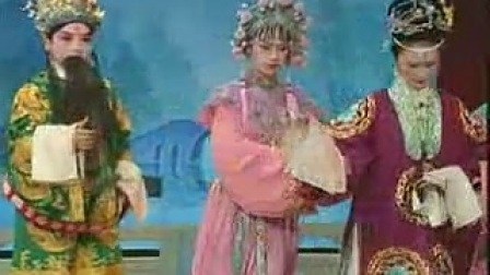 涟水淮剧《狸猫换太子》全场(二)优
