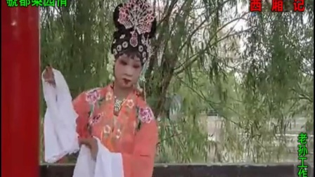 三门峡灵宝美女张萍公园演唱《西厢记》选段