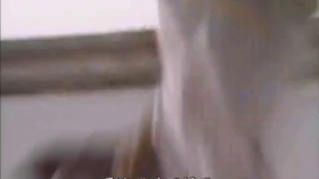 楊麗花歌仔戲《泥馬渡康王》