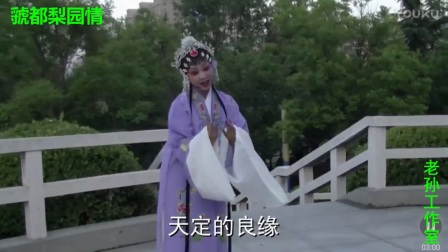 蒲剧表演艺术家武俊英高徒 蒲剧《送女》选