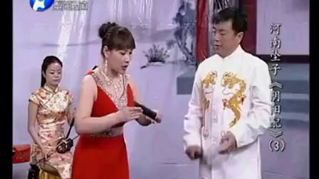 河南坠子《阴阳配》 1至10集