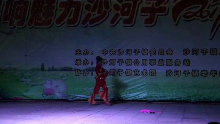 沙河子2017纳凉晚二人转