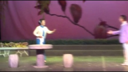 兰琳沪剧演唱会（5）